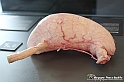 VBS_2772 Stomaco - Mostra Body Worlds